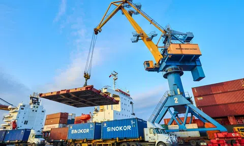 Hải An kỳ vọng gì sau cái “bắt tay” với Viconship?