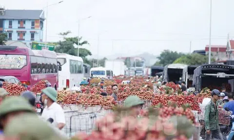 Đi chợ vải thiều Bắc Giang