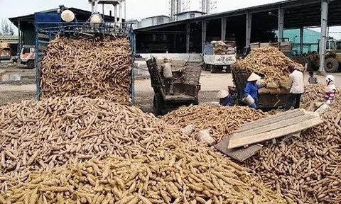Hàng chục nghìn tấn hàng ùn ứ ở cửa khẩu: Bộ trưởng Thái Lan vừa nhấn mạnh điều gì?