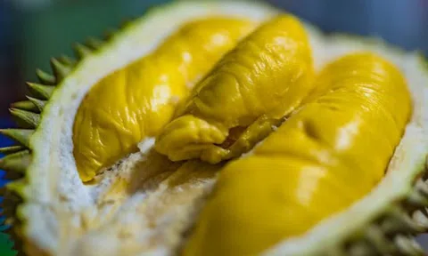 Không phải Thái Lan hay Việt Nam, trái cây vua của một quốc gia đang lên như diều gặp gió: Sắp xuất khẩu hàng tươi sang Trung Quốc, châu Âu cũng đang mạnh tay săn lùng
