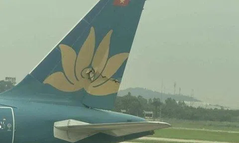 Vụ 2 máy bay Vietnam Airlines va quệt tại Nội Bài: Đình chỉ 4 phi công
