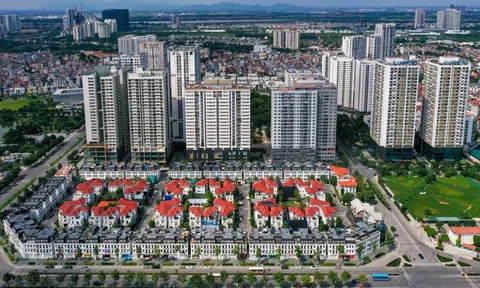 Chung cư vẫn 'hút' tiền