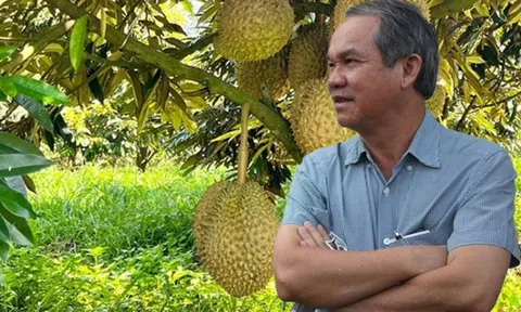 Giá sầu riêng thấp kỷ lục, nhớ lại lời bầu Đức: Ngay cả khi bán sầu riêng với giá 20.000 đồng/kg vẫn có lãi