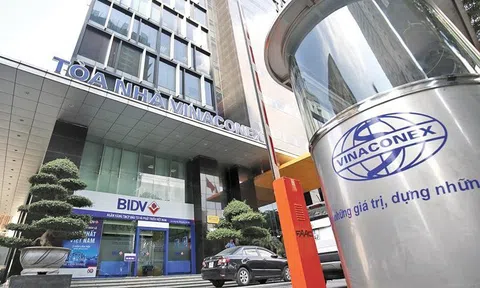 Vinaconex muốn thoái vốn tại chủ đầu tư Cát Bà Amatina