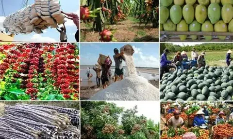 Xuất khẩu nông, lâm, thuỷ sản 6 tháng tăng 14%