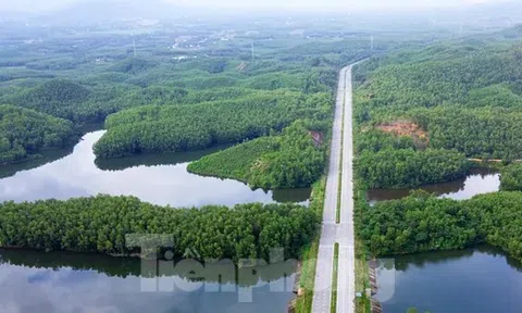 Toàn cảnh phân khu đô thị Sườn đồi gắn với khu phi thuế quan Đà Nẵng