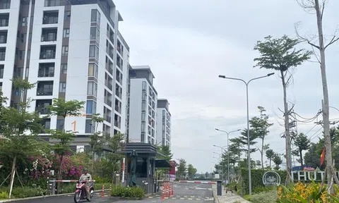 TP HCM sẽ thành lập Ban chỉ đạo phát triển nhà ở xã hội