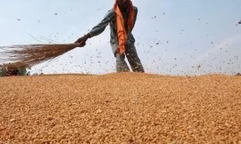 Hàng trăm nghìn tấn ‘báu vật’ từ Nga vừa đổ bộ vào Việt Nam: Thuế nhập khẩu 0%, Moscow đang là 'ông trùm' xuất khẩu của thế giới