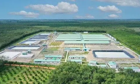 Baf Việt Nam ‘rót’ 150 tỷ đồng thành lập công ty con tại Ninh Bình