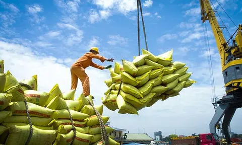 Giá gạo xuất khẩu nửa đầu năm giảm