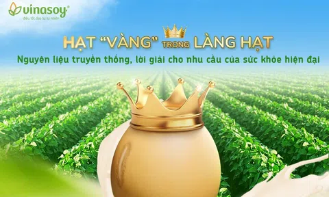 Hạt “vàng” trong làng hạt: Lời giải cho nhu cầu sức khoẻ hiện đại
