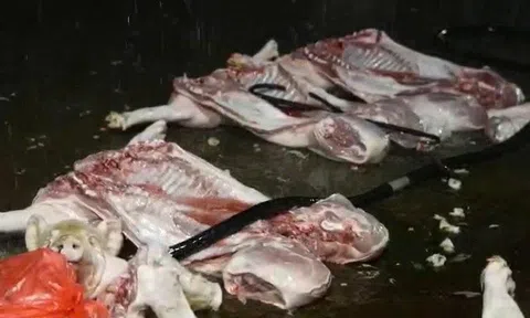 Hà Nội: Phát hiện thịt lợn nhiễm bệnh tại nhiều chợ và cơ sở ăn uống