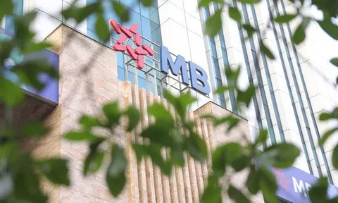 Triển vọng bộ đôi cổ phiếu MBB và MBS