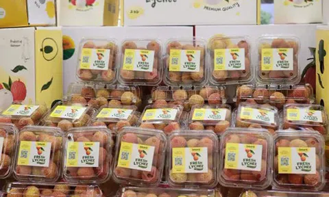 Vụ vải thiều Lục Ngạn 2025 bội thu