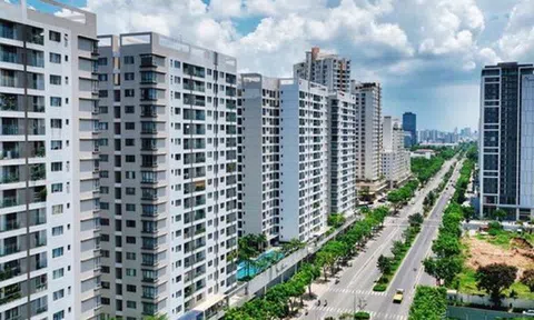 TS. Nguyễn Văn Đính: Giá chung cư Bình Dương (cũ) đang khá mềm 40-50 triệu/m2, nhưng sau khi sáp nhập vào TP.HCM, chắc chắn mức giá này sẽ không còn