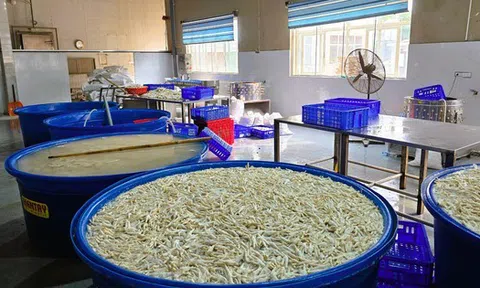 Phát hiện gần 7 tấn chân gà ngâm chất tẩy trắng