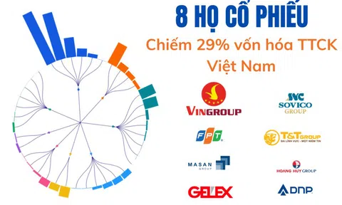 8 'gia tộc' đang nắm giữ 2,4 triệu tỷ đồng, 'chi phối' 1/3 thị trường chứng khoán Việt Nam