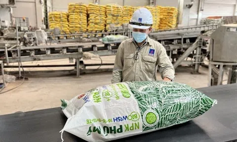 Phân bón và Hóa chất Dầu khí Miền Trung bão lãi tăng mạnh