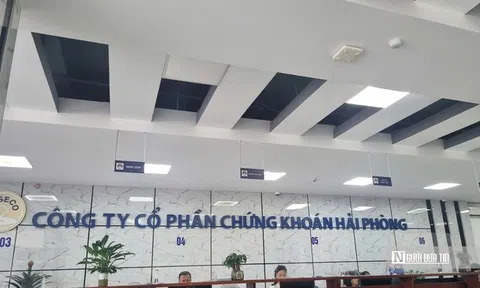 Danh mục khởi sắc, chứng khoán Haseco thoát lỗ sau nhiều quý