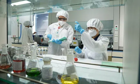 Imexpharm công bố kết quả tài chính 6 tháng đầu năm: EBITDA tăng 21%