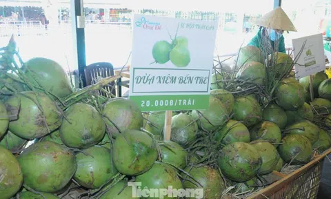Hậu sáp nhập 3 tỉnh, doanh thu dừa tươi dồn về 1 mối lớn nhất nước