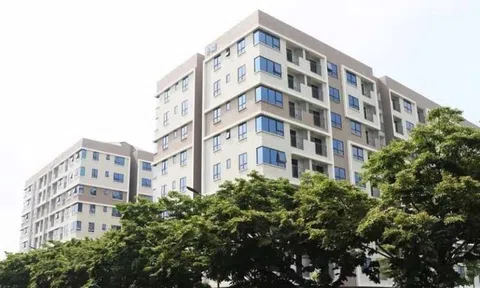 Đề nghị công an xác minh thông tin rao bán nhà ở xã hội chưa được phép kinh doanh