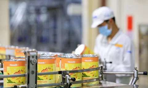 Doanh thu Vinamilk cao kỷ lục