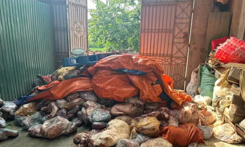 Công an Phú Thọ thu giữ hàng tấn thịt lợn bốc mùi, chủ cơ sở khai định làm lạp xưởng