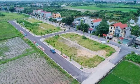 Sửa Luật Đất đai do xuất hiện nhiều tình huống mới