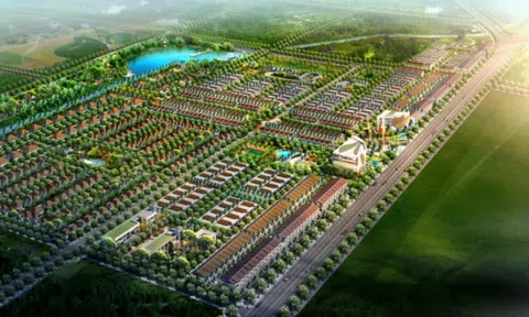 Tasco chuyển nhượng phần vốn góp dự án Khu dân cư cao cấp Cần Giờ cho Gelex với giá 619 tỷ đồng