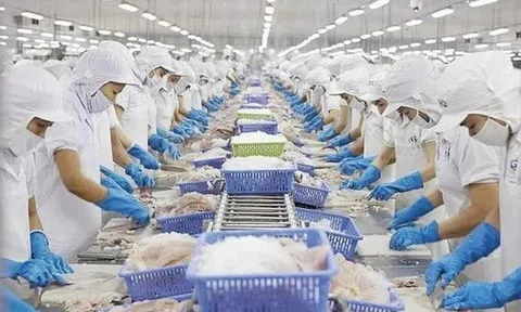 Xuất khẩu nông, lâm, thủy sản 7 tháng đạt gần 40 tỷ USD