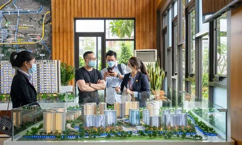 Đất Xanh Services báo lãi quý II/2025 tăng gấp 4 lần, tiến gần mục tiêu năm