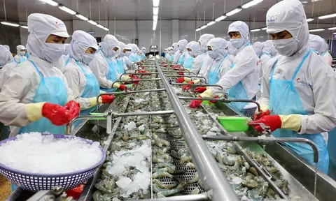 Doanh thu đi xuống, lợi nhuận Minh Phú vẫn tăng vọt nhờ cắt giảm chi phí