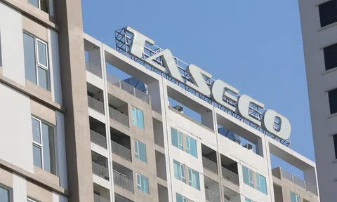 Taseco Land dự kiến phát hành cổ phiếu riêng lẻ cho nhà đầu tư chuyên nghiệp