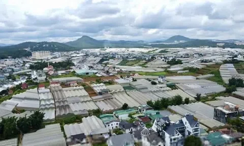 Tỉnh lớn nhất nước yêu cầu chấn chỉnh môi giới bất động sản