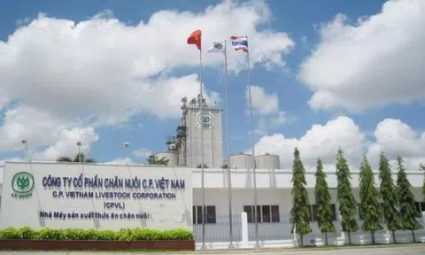 Sau lùm xùm heo bệnh, đại gia Thái Lan C.P. vẫn tăng trưởng doanh thu bán thực phẩm, kiếm tổng cộng 43.000 tỷ ở Việt Nam nửa đầu năm 2025