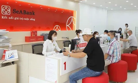 Phó Chủ tịch SeABank dự chi gần 70 tỷ đồng tăng sở hữu tại ngân hàng