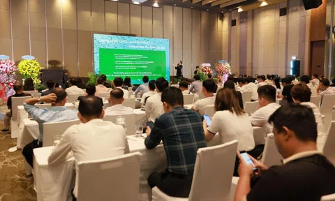 Hạ Tầng Đô Thị Corporation công bố thông tin dự án Bung Goi Verdura Estate