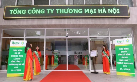 Doanh nghiệp lỗ lũy kế 56 tỷ bỏ tiền mua cổ phần công ty giá 609.000 đồng/cp