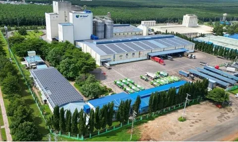 DN Hà Lan rót 10.000 tỷ, biến Việt Nam thành trung tâm nông nghiệp công nghệ cao tiêu biểu Đông Nam Á