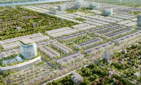Nợ gần 635 tỷ đồng tiền thuế, ông lớn nào đứng sau Công ty Ngân Thuận?
