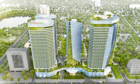 Dabaco góp thêm hơn 430 tỷ đồng vào công ty con