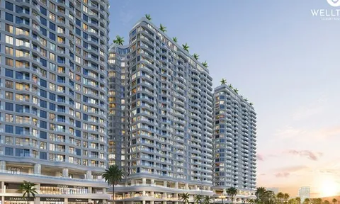 Danh tính 5 nhà đầu tư dự kiến mua 92,6 triệu cổ phiếu riêng lẻ của Tập đoàn NRC