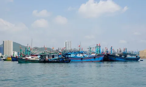 Chủ tịch xã, phường bị phê bình do chưa quyết liệt chống khai thác IUU