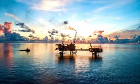 Kho báu của Việt Nam dị thường đến nỗi các ông lớn nước ngoài phải rút lui, vào tay doanh nghiệp Việt: Lập kỳ tích