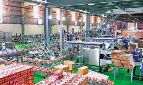 Chi phí leo thang, lợi nhuận Sữa Lof “trượt dốc” trong quý III/2025