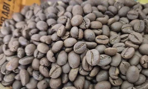 Giá cà phê hôm nay 30-10: Bật tăng cao vút, khắp nơi đua nhau trồng cà phê