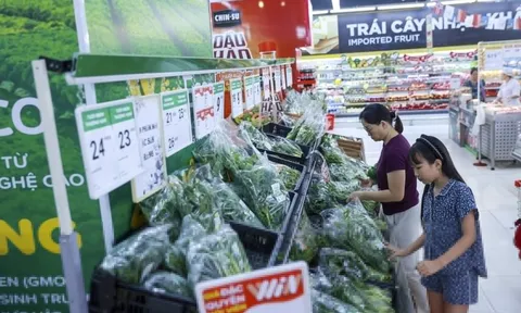 Chủ chuỗi WinMart+ tính mở 1.500 cửa hàng mới năm 2026