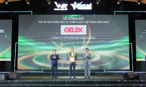 GELEX vào Top 30 Tập đoàn Đầu tư Chiến lược Việt Nam năm 2025
