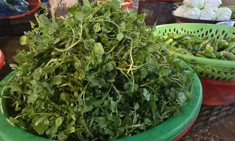 Giá nông thủy sản miền Tây: Rau xanh tăng giá vùn vụt